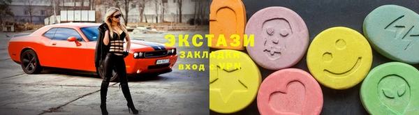 гашик Вяземский