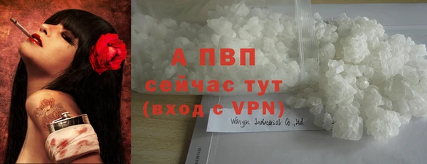 эйфоретик Горняк