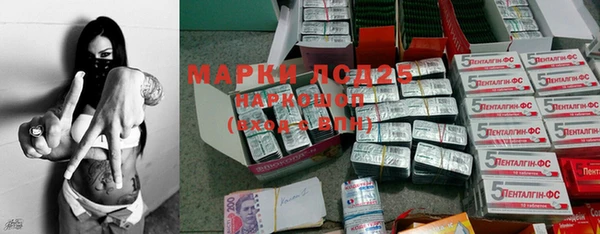 стаф Горнозаводск