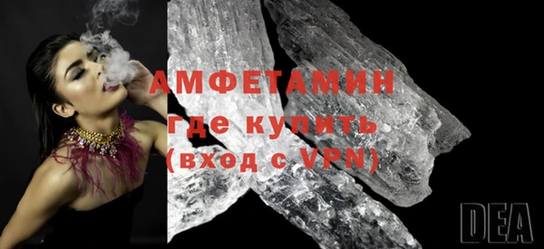 гашик Вяземский
