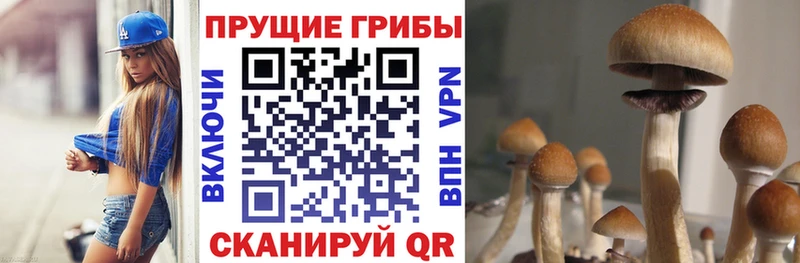 Галлюциногенные грибы GOLDEN TEACHER  Купить закладки  Калач-на-Дону 
